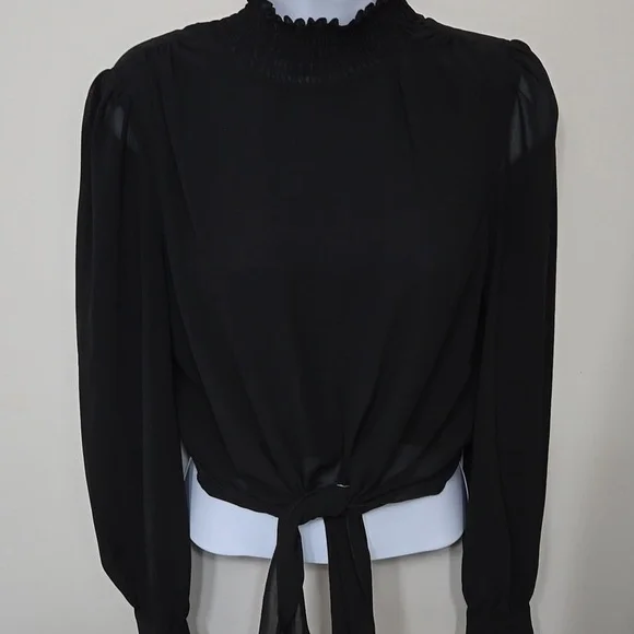 Lucy Paris Sheer Blouse - Picture 2 of 7